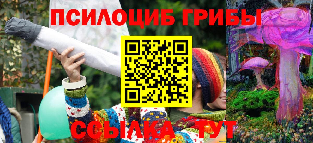 где купить наркоту  Вход с VPN  Волгоград  Галлюциногенные грибы Psilocybine cubensis 